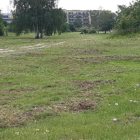 Park Radouc - 60m2 Apartman Mladá Boleslav
