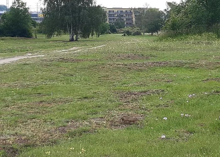 Park Radouc - 60m2 Apartamento Mladá Boleslav
